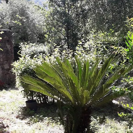 Casa Pucci
