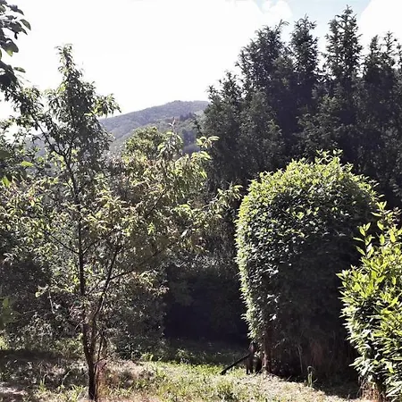 Holiday home Casa Pucci Bagni di Lucca